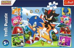 Trefl Puzzle Sonic: Seznamte se s ježkem 100 dílků