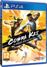 PlayStation Studios Cobra Kai : The Karate Kid Saga Continues (PS4)