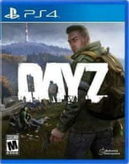 PlayStation Studios DAYZ (PS4)