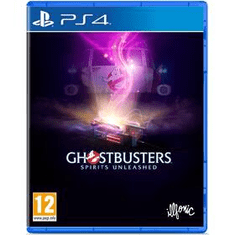 PlayStation Studios Ghostbusters: Spirits Unleashed (PS4)