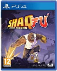 PlayStation Studios Shaq Fu: A Legend Reborn (PS4)