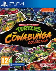 PlayStation Studios Teenage Mutant Ninja Turtles: The Cowabunga Collection (PS4)