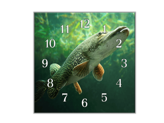 Glasdekor Nástěnné hodiny 30x30cm ryba štika