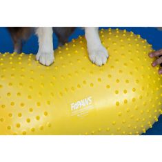 Greatstore FitPAWS Balanční plošina pro domácí mazlíčky Trax Peanut 40 cm žlutá