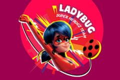 Miraculous Ladybug ZFPNP106