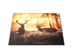 Glasdekor Skleněné prkénko jeleni v západu slunce - Prkénko: 40x30cm
