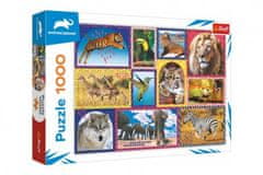 Trefl Puzzle Divoká příroda 1000 dílků v krabici 40x27x6cm