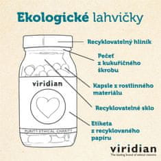 VIRIDIAN nutrition Brain Support Multi (Multivitamín pro duševní zdraví a kognitivní funkce), 60 kapslí