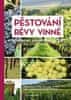 Pavloušek Pavel: Pěstování révy vinné - Moderní vinohradnictví