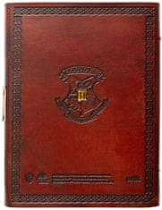 CurePink Poznámkový blok v kožených deskách Harry Potter: Zlatonka (13 x 18 cm)