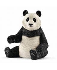 Hollywood Figurka panda - Schleich - 7 cm