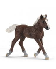 Hollywood Figurka hříbětko schwarzwaldské - Schleich - 9,5 cm