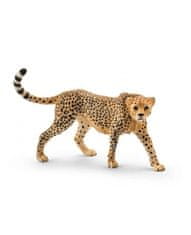 Hollywood Figúrka samice geparda - Schleich - 11 cm