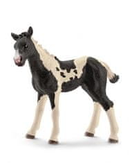 Hollywood Figurka hříbětko Pinto (flekaté) - Schleich - 9 cm