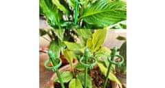 Merco Mulipack 12 sad Plant Buckle spony pro tyčky k rostlinám 10 ks