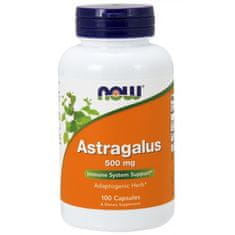 NOW Foods Astragalus (Kozinec), 500 mg, 100 kapslí