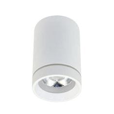 AZZARDO LED Stropní bodové přisazené svítidlo AZzardo Bill white AZ3375 10W 850lm 4000K IP20 6,5cm bílé