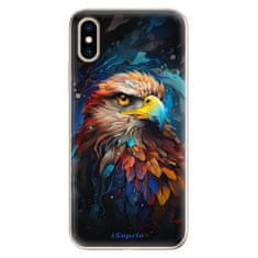 iSaprio Silikonové pouzdro - Mysterious Eagle pro Apple iPhone XS