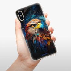 iSaprio Silikonové pouzdro - Mysterious Eagle pro Apple iPhone XS