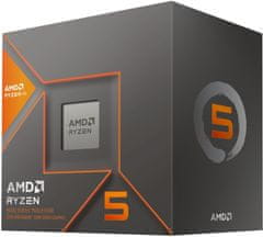 AMD Ryzen 5 8600G