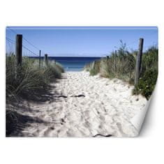 shumee Fototapeta Road to the beach dunes sand - 100x70