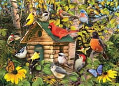 Cobble Hill Puzzle Ptačí budka 1000 dílků