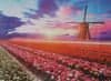 PUZZLE MATE Puzzle WINDMILL & TULIPS 1000 ks