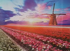 PUZZLE MATE Puzzle WINDMILL & TULIPS 1000 ks