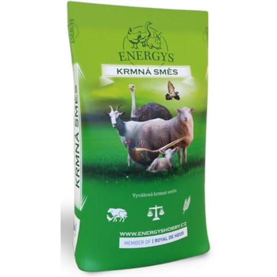 ENERGYS jehně, granule 25kg