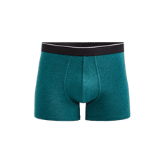 Celio Boxerky Mike CELIO_1138573 L