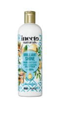 Inecto Inecto Naturals ARGAN  kondicionér s čistým arganovým olejem (500ml)