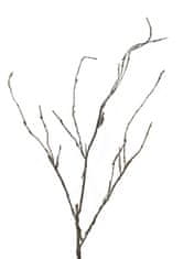 C7.cz Větev hnědá (Wood twig) 'Cordata' V95cm