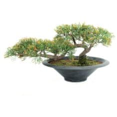 Europalms Bonsai Cedr, 40 cm