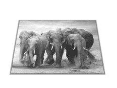 Glasdekor Skleněné prkénko stádo slonů - Prkénko: 40x30cm