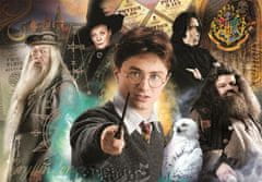 Clementoni Puzzle Harry Potter: Učitelé 1000 dílků