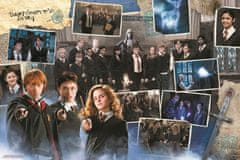 Trefl Puzzle Harry Potter 10v1