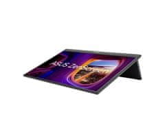 ASUS MB17AHG ZenScreen (90LM08PG-B01170)