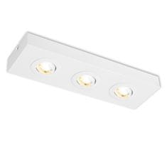 BRILONER BRILONER CTS LED stropní svítidlo, 38,5 cm, 4W, 460lm, bílé BRI 3996036