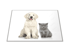 Glasdekor Skleněné prkénko bílé štěně a šedé kotě - Prkénko: 40x30cm