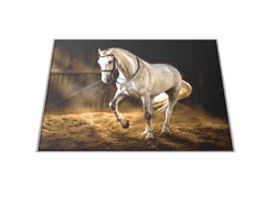 Glasdekor Skleněné prkénko bílý kůň ve stáji - Prkénko: 40x30cm
