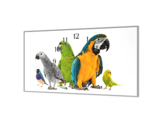 Glasdekor Nástěnné hodiny s motivem směs papoušků - Materiál: kalené sklo