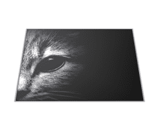 Glasdekor Skleněné prkénko detail hlavy kočky - Prkénko: 40x30cm