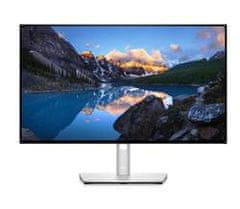 DELL UltraSharp 24 Monitor - U2424H 60.47cm (23.8)