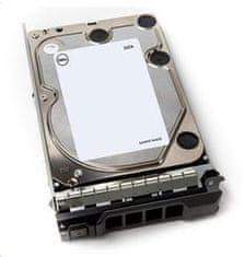 DELL 900GB 15K RPM SAS 512n 2.5in Hot-plug Hard Drive Cus Kit