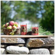 Village Candle Apples & Evergreen