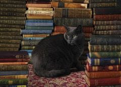 Cobble Hill Puzzle Černá kočka v knihovně