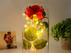 Verk 26104 LED růže ve skleněné váze