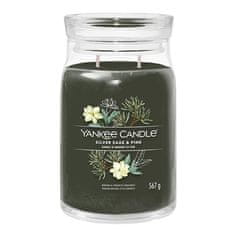 Yankee Candle Svíčka ve skleněné dóze , Stříbrná šalvěj a borovice, 567 g