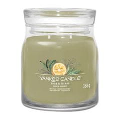 Yankee Candle Svíčka ve skleněné dóze , Šalvěj a citrus, 368 g