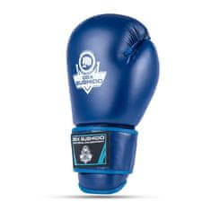 DBX BUSHIDO boxerské rukavice ARB-407-Blue 10 oz